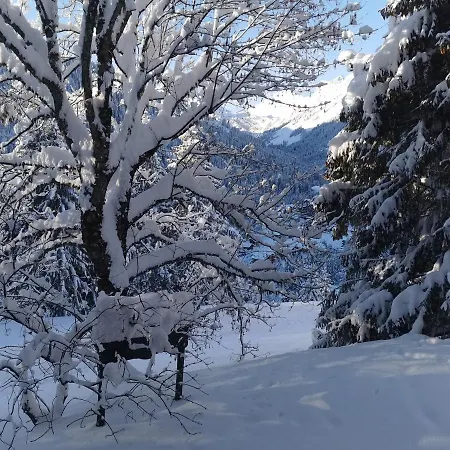 Chalet - Dans Le Carmazin *