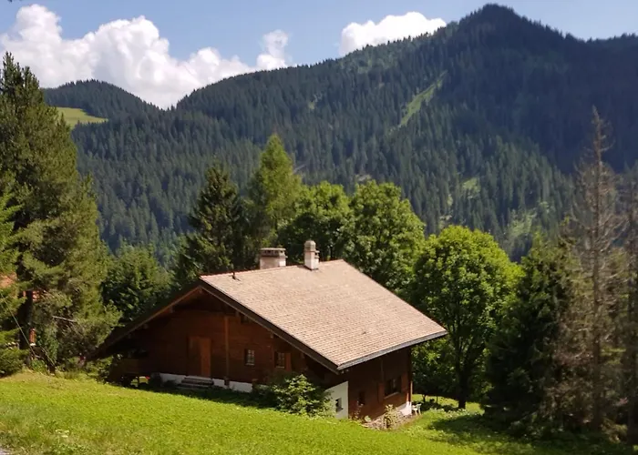 - Dans Le Carmazin Morgins