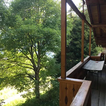 - Dans Le Carmazin *