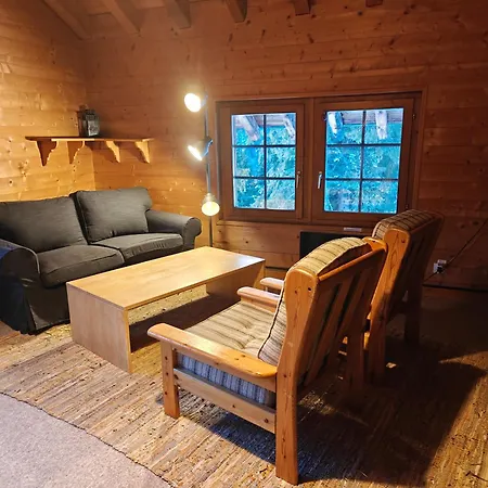 - Dans Le Carmazin Dağ evi Morgins