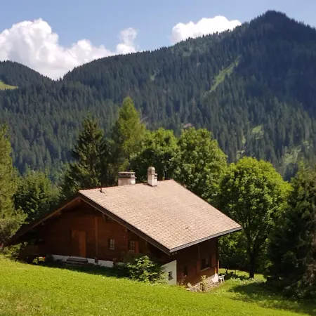 - Dans Le Carmazin Morgins